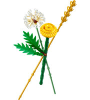 LEGO Botanicals Tarla Çiçekleri 30701