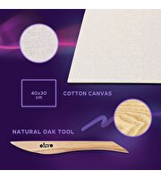 OKTO Flower Beds in Holland 3D Duyusal Sanat Seti