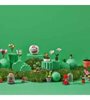 Mini Botanik Bahçe Sürpriz Paket