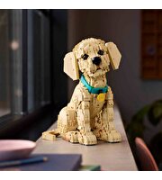 LEGO Icons Yavru Golden Retriever 11384