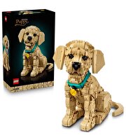 LEGO Icons Yavru Golden Retriever 11384