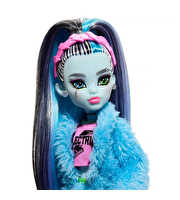 Monster High Creepover Party Frankie Stein HKY68