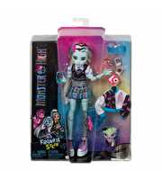 Monster High Ana Karakter Bebekler Frankie Stein HHK53