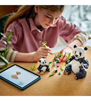 LEGO Creator 3'ü 1 Arada Vahşi Hayvanlar: Panda Ailesi 31165