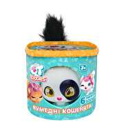 QT Kitties Candy Yavru Kedi