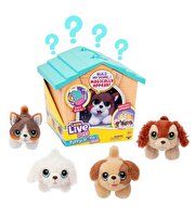 LLP Yavru Köpeğim ve Evi Sürpriz Paket