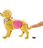 Barbie ve Tuvalet Eğitimindeki Köpeği DWJ68