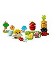 LEGO Duplo İlk Organik Bahçe 10984
