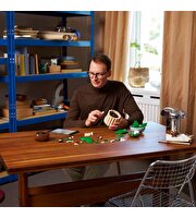 LEGO Botanicals Barış Çiçeği 11504