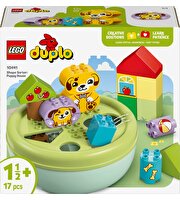LEGO Duplo Şekil Ayırıcı: Köpek Evi 10441