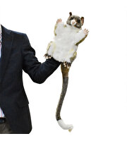 Hansa Creations Brush Tailed Possum El Kuklası Peluş 45 Cm