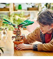 LEGO Harry Potter Adamotu 76433