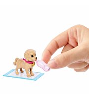 Barbie ve Köpekçikleri Oyun Seti HKD86