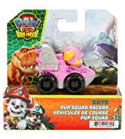 Paw Patrol The Dino Movie Pup Squad Yarışçıları Skye