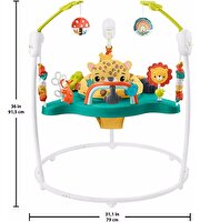 Fisher Price Sevimli Leopar Jumperoo Aktivite Merkezi HND47