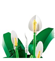 LEGO Botanicals Barış Çiçeği 11504