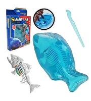 Köpekbalığı Laboratuvar Seti