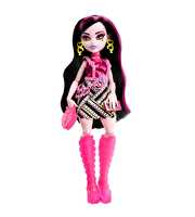 Monster High Gizemli Arkadaşlar 3.Seri Draculaura HNF78