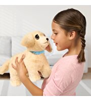 LLP Yavru Köpek İyileşiyor 26679