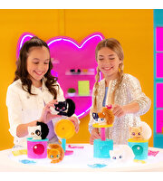 QT Kitties Candy Yavru Kedi