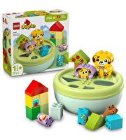 LEGO Duplo Şekil Ayırıcı: Köpek Evi 10441