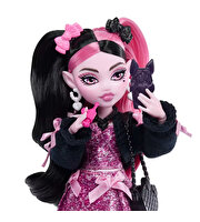 Monster High Ana Karakter Bebekler Draculaura JHK29