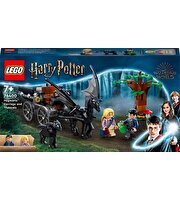 LEGO Harry Potter Hogwarts Araba ve Testraller 76400
