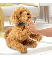 MFF Sevimli Labrador Moji Türkçe 18207