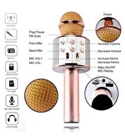 Karaoke Mikrofon WS-858