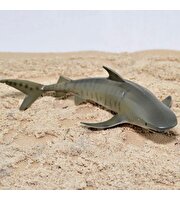 Collecta Kaplan Köpek Balığı