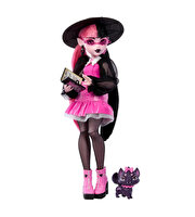 Monster High Ana Karakter Bebekler Draculaura HRP64