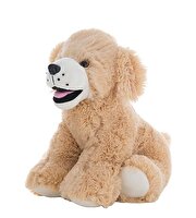 Goldie Labrador Köpek 40 Cm