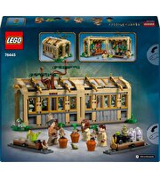 LEGO Harry Potter Hogwarts Şatosu: Bitkibilim Dersi 76445