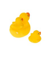 3'lü Ördek Ailesi Seti