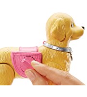 Barbie ve Tuvalet Eğitimindeki Köpeği DWJ68
