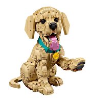 LEGO Icons Yavru Golden Retriever 11384