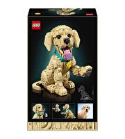 LEGO Icons Yavru Golden Retriever 11384