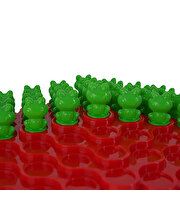 Kurbağa Denge Oyunu