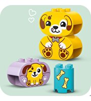 LEGO Duplo Şekil Ayırıcı: Köpek Evi 10441