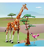 LEGO Creator Vahşi Safari Hayvanları 31150