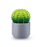 Mini Botanik Bahçe Sürpriz Paket