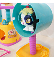 QT Kitties Oli Yavru Kedİ