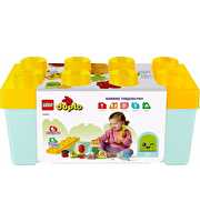 LEGO Duplo İlk Organik Bahçe 10984