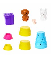 Barbie Chelsea Köpekçiğin Doğum Günü Oyun Seti HJY88