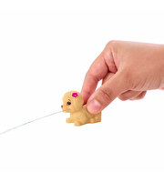 Barbie Skipper'ın Su Parkı Eğlencesi Oyun Seti HKD80