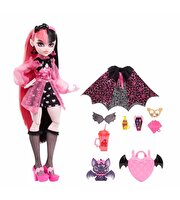 Monster High Ana Karakter Bebekler Draculaura HHK51