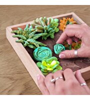OKTO Succulents Energy 3D Duyusal Sanat Seti