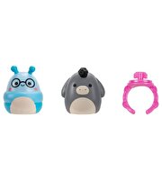 Squishmallows Squish-a-Longs 2'li Sürpriz Paket Seri 3