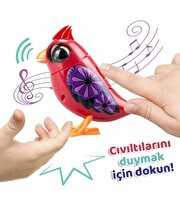 Digibirds Tek Paket Seri 1 Kırmızı