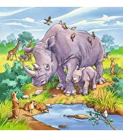 Ravensburger Wild Animals Puzzle 49x3 Parça